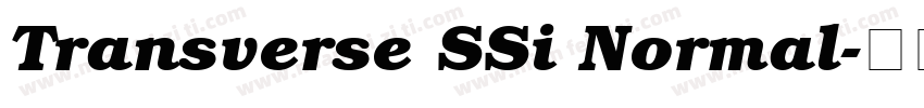Transverse SSi Normal字体转换